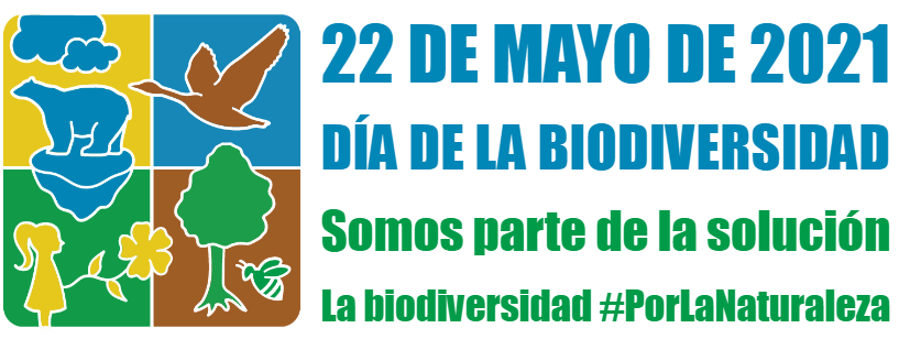 22 de mayo Día Internacional de la Biodiversidad