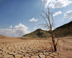 Día mundial de la lucha contra la desertificación y la sequía